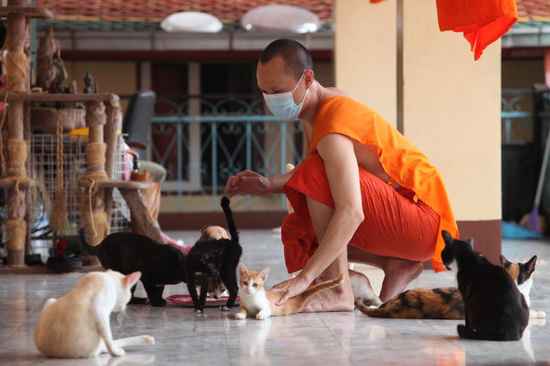 монах в Таиланде